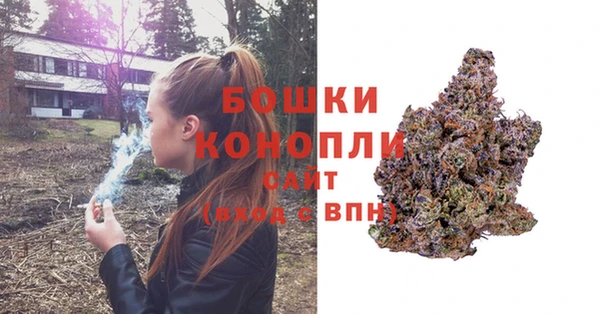 PSILOCYBIN Богородицк